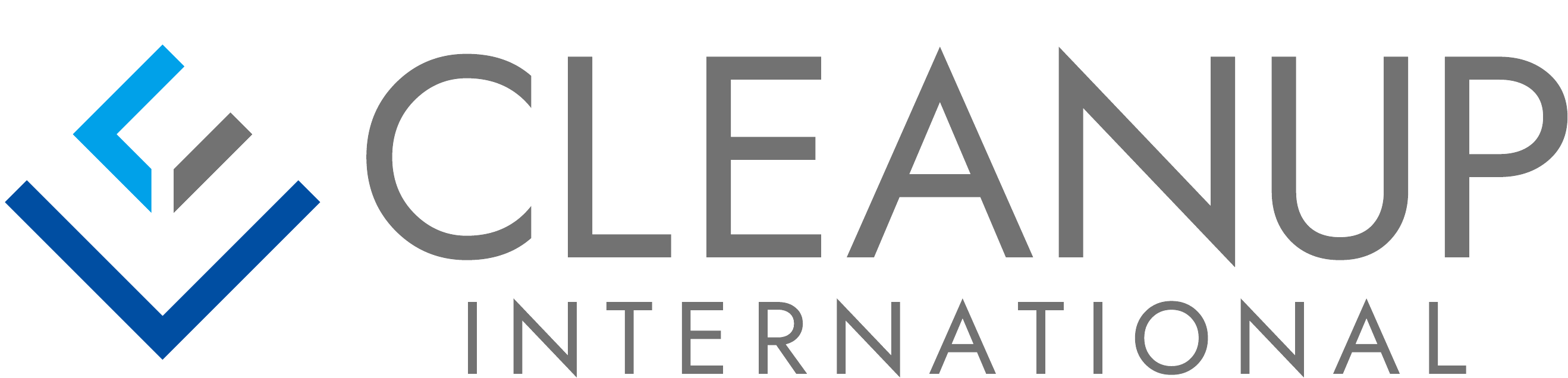 CLEANUP INTERNATIONAL